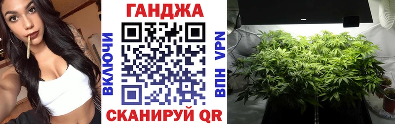 omg как зайти Нерчинск Бошки марихуана White Widow